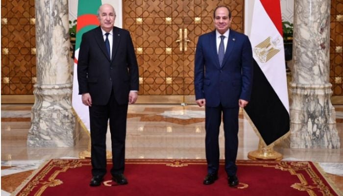 Egypt proposes two-day Gaza truce in hope of full ceasefire