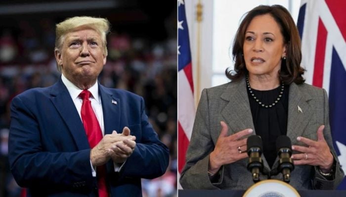 Trump vs Harris: Who is leading in US election polls?