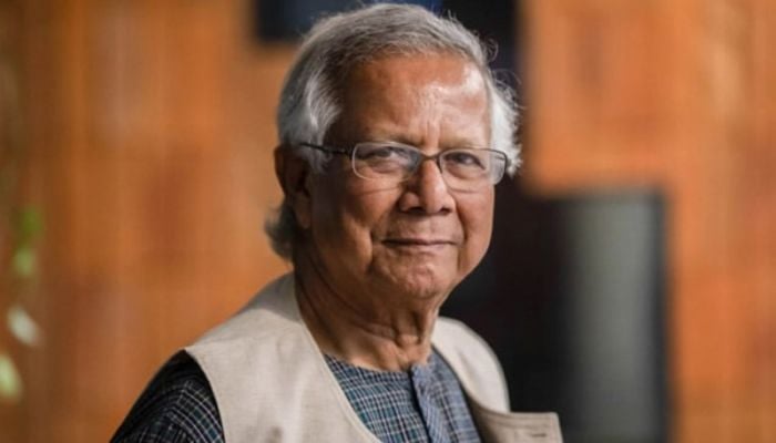 CA seeks South Asian grid to share Nepal's hydroelectricity