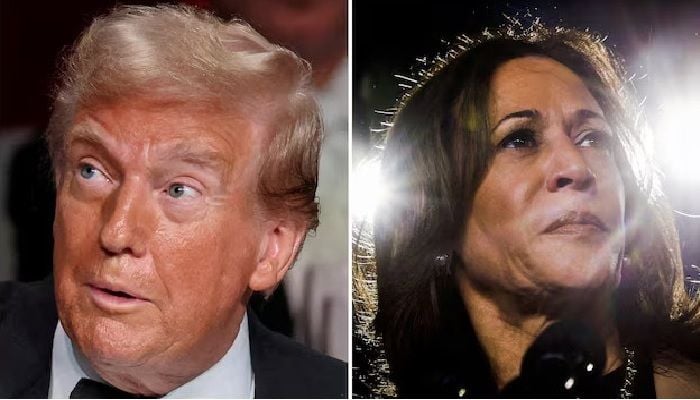 Neither Trump nor Harris, a 'dark horse' will rise, ChatGPT predicts