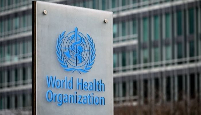 50 countries warn UN of ransomware attacks on hospitals
