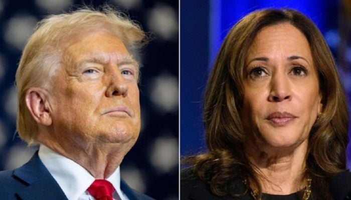 Trump at 227 electoral votes, Harris at 172