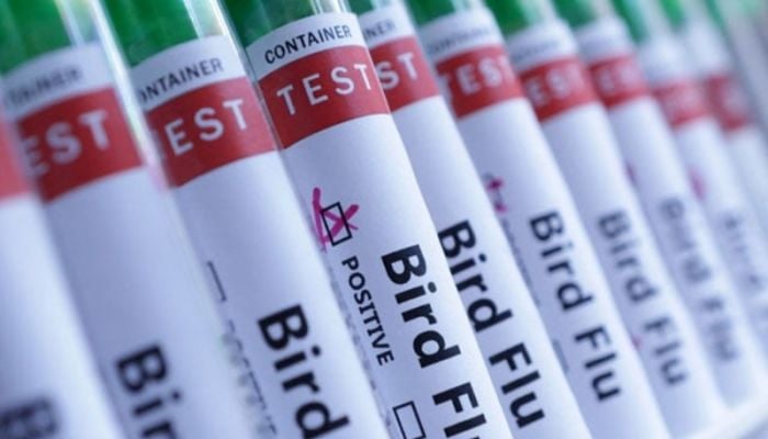 Canada reports first case of bird flu in a person 