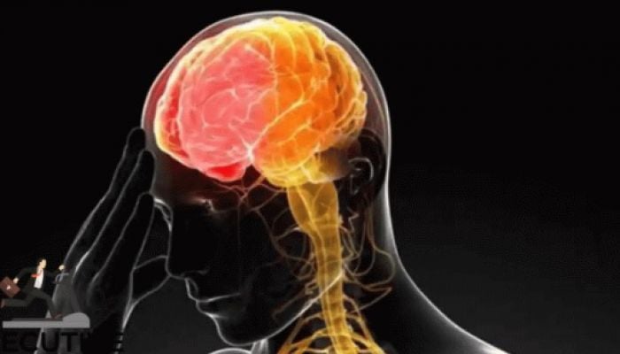 Simple lifestyle changes to protect your brain