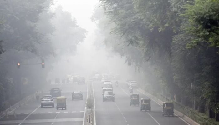 Delhi shuts all primary schools as hazardous smog worsens