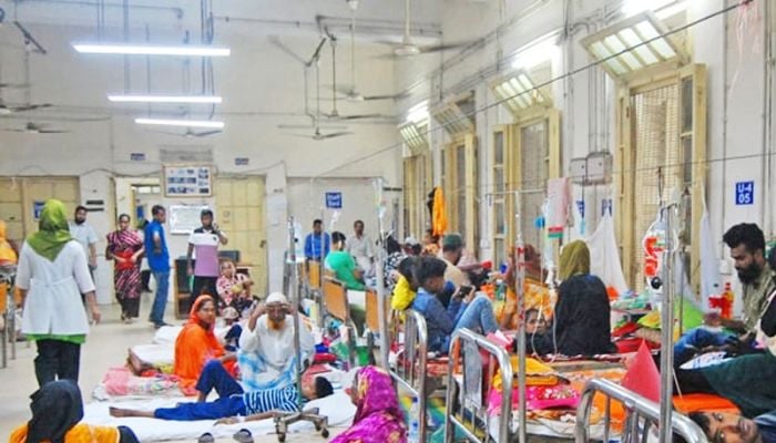 8 die, 1,134 hospitalised with dengue fever in a day