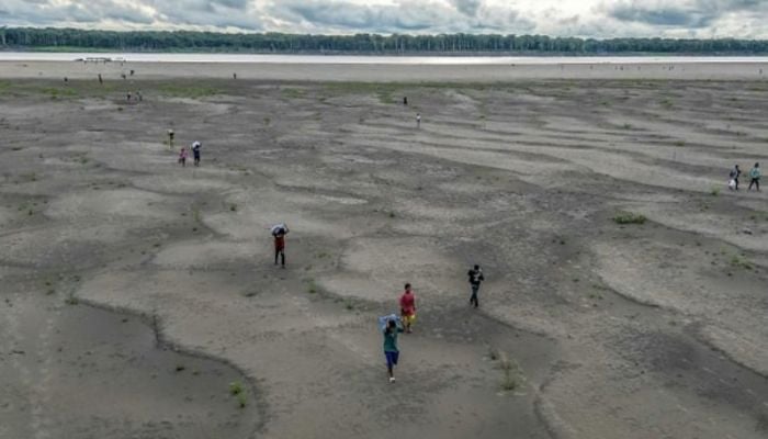 Record drought in Amazon impacts 420,000 children: UNICEF