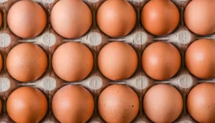 Govt okays import of 18.80cr eggs 