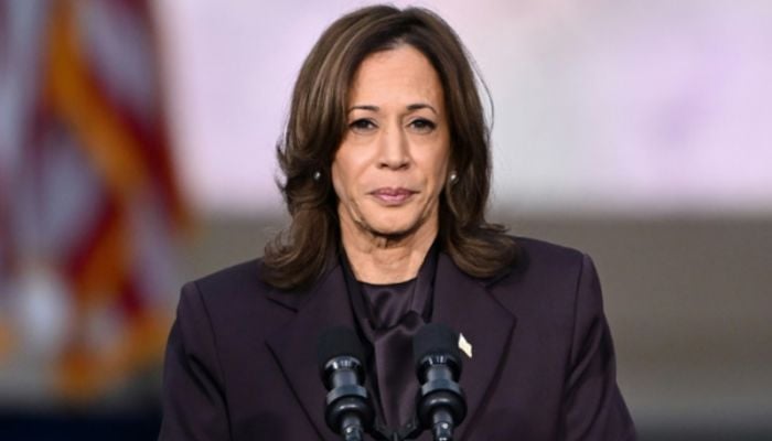 We warned you: Arab Americans tell Kamala Harris
