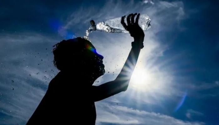 2024 on track to be world's warmest year on record