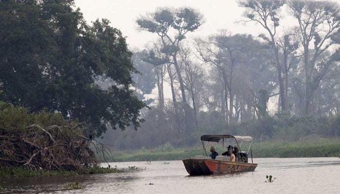 Methane from tropical wetlands is surging, threatening climate plans