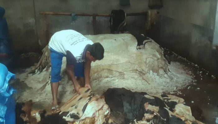 Tannery Workers Union demands gazette issuance on minimum wage