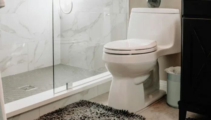 Doctors urge limiting toilet time to avoid health risks