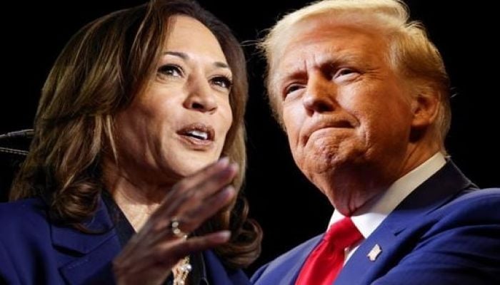 Harris or Trump: America decides in knife-edge election