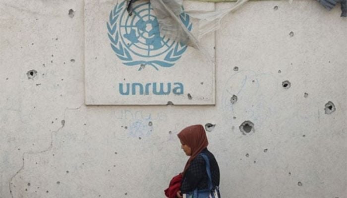 Record 281 aid workers killed in 2024: UN