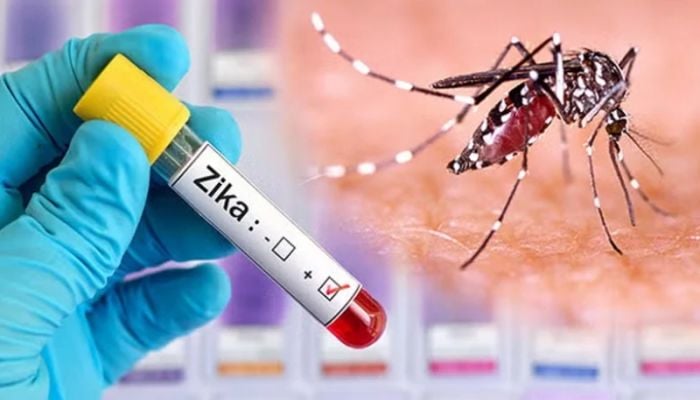 Zika virus detected in 8 Dhaka residents over 3 months