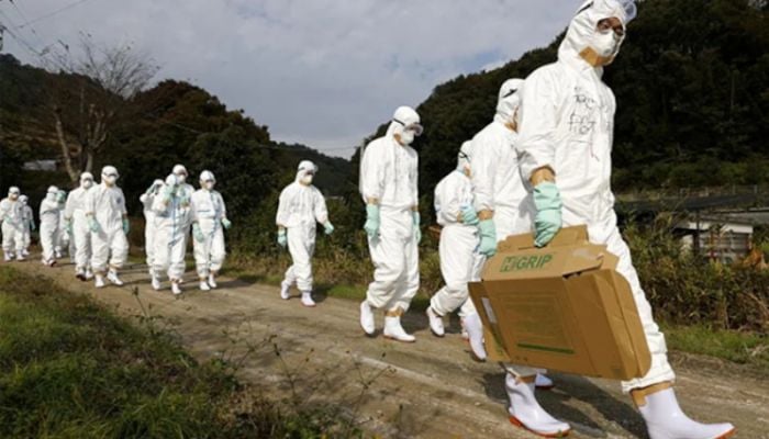 Bird flu may spark next pandemic, experts warn