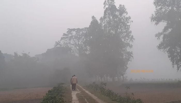 Mild cold wave to continue