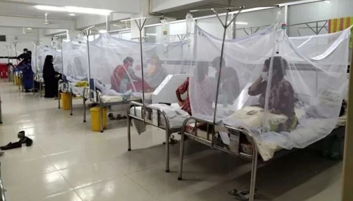 3 die of dengue, 705 hospitalised in 24 hours