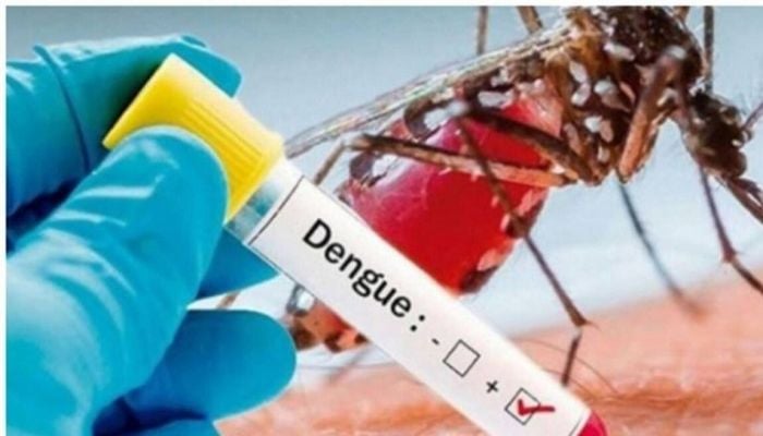 Four die, 444 hospitalised with dengue in last 24 hrs
