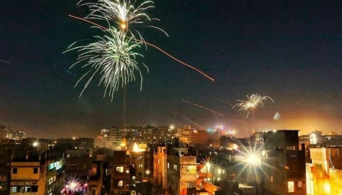 Environment ministry urges all to refrain from using fireworks during New Year celebrations