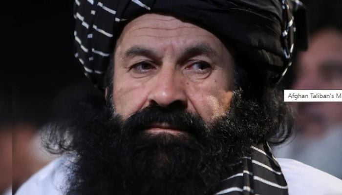Afghan Taliban's minister for refugees killed in Kabul blast