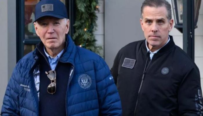 Biden's pardon for son angers rivals - and allies