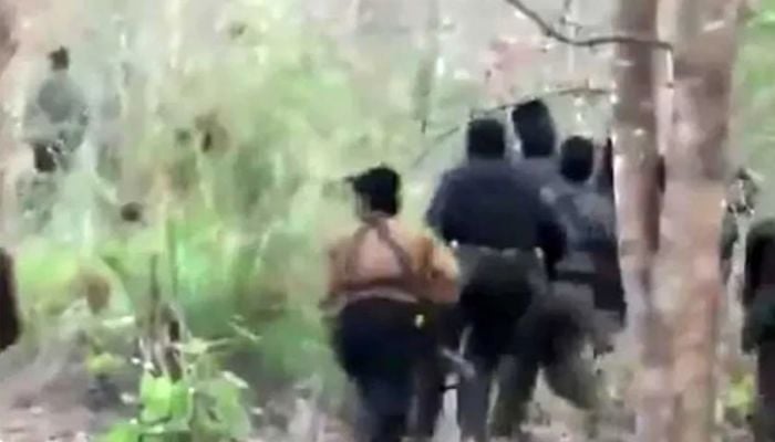 7 Maoists including top commander killed in India