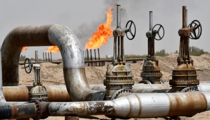 Oil supply to rise in 2025 despite OPEC cuts: IEA