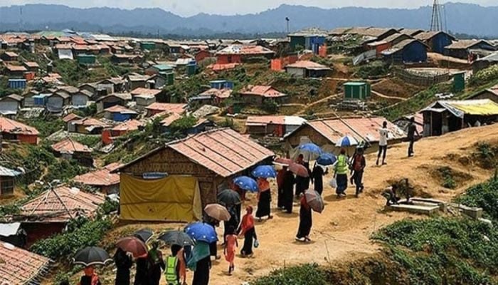 80,000 new Rohingyas entered Bangladesh: Dr Yunus