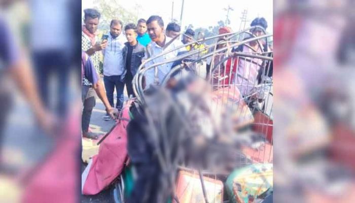 Bus-autorickshaw collision kills 6 in Sherpur