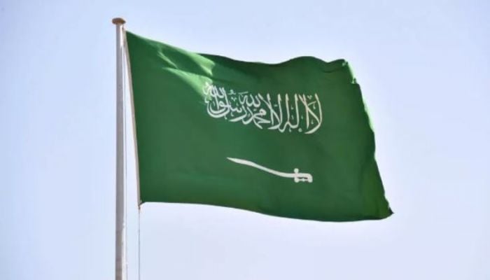 Saudi Arabia executes at least 338 people in 2024