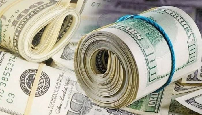 Forex reserves fall to $20b after clearing ACU payment