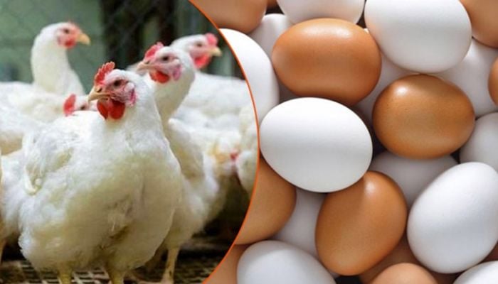 BPA to sell eggs, chicken at fair prices from Jan 12