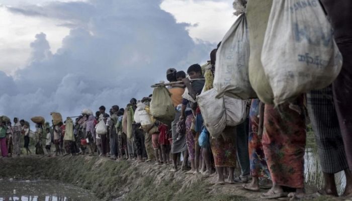 UNHCR to work with Bangladesh to resolve Rohingya crisis