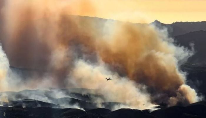 Survivors count the mental cost of Los Angeles fires