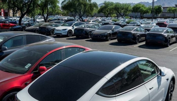 Tesla's China sales hit record high in 2024