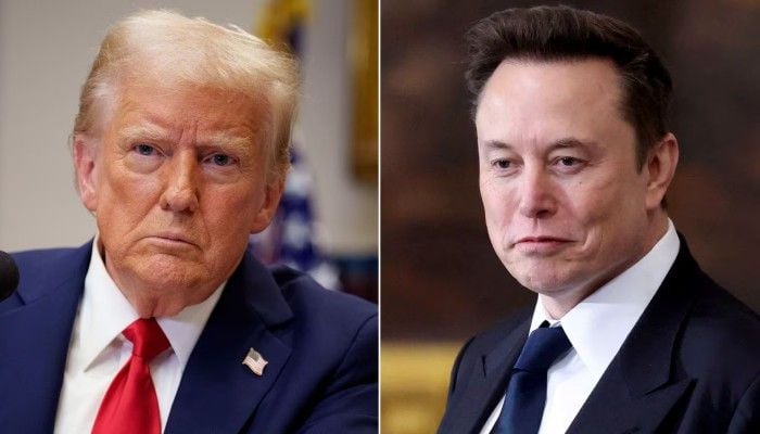 Musk bashes Trump-backed AI mega project