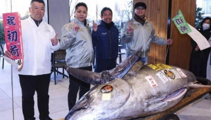 Tuna sold for $1.3 million at Tokyo new year auction