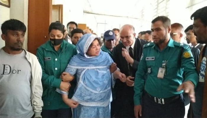 Ex-NBR member Matiur's wife Laila's bail plea scrapped