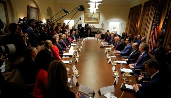Key takeaways from Trump’s first cabinet meeting with Musk