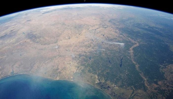 Was the emergence of intelligent life on Earth just a fluke? Some scientists think not