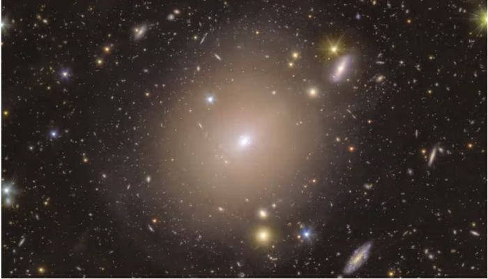 Euclid telescope captures Einstein ring revealing warping of space