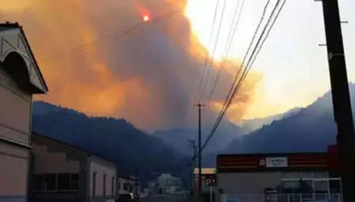 Japan forest fire burns buildings, prompts evacuations