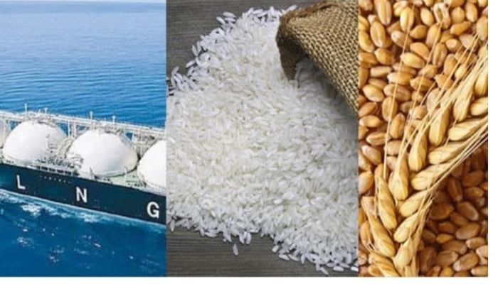 Govt to procure one cargo LNG, 50,000 MTs wheat, 60,000 MTs fertiliser