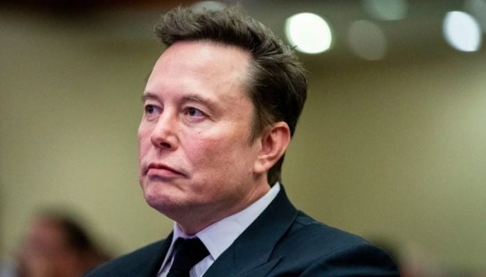 Musk's US government 'takeover' sounds alarm bells