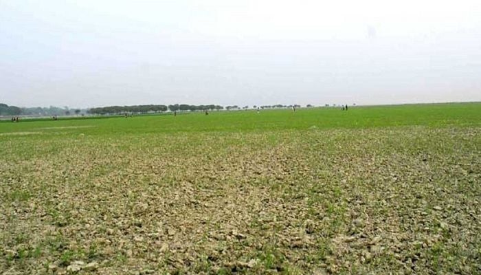 Padma water declining fast than previous time