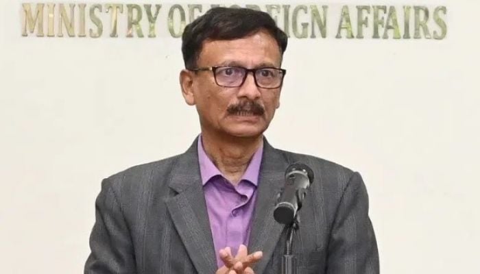 Interim govt earned overwhelming global support: adviser