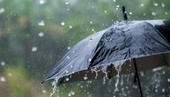 Light rain or drizzle likely in parts of country: BMD