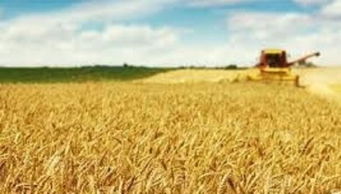 50,200 MTs wheat from Argentina arrive at Ctg port